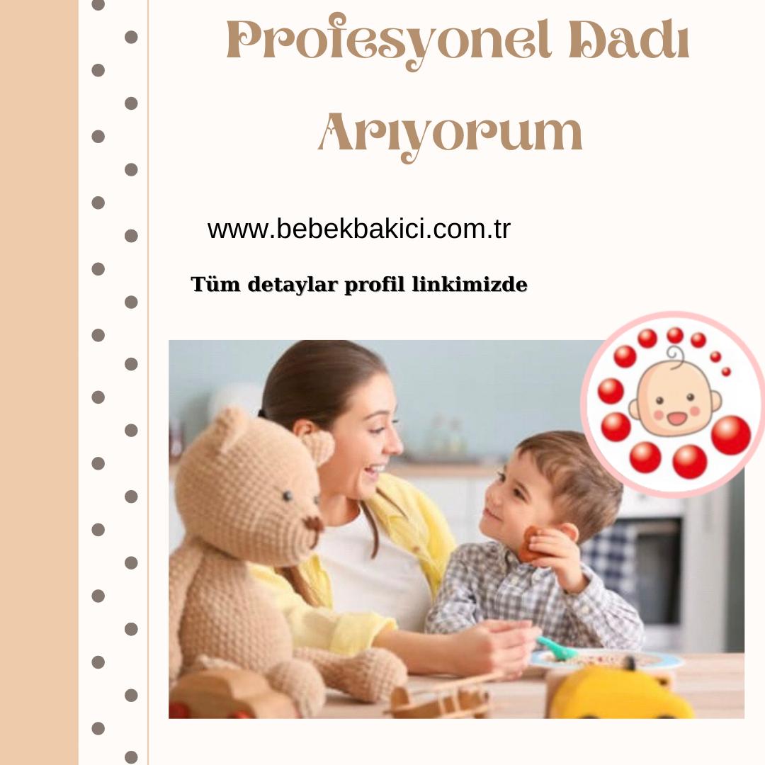 Profesyonel Dadı Arıyorum